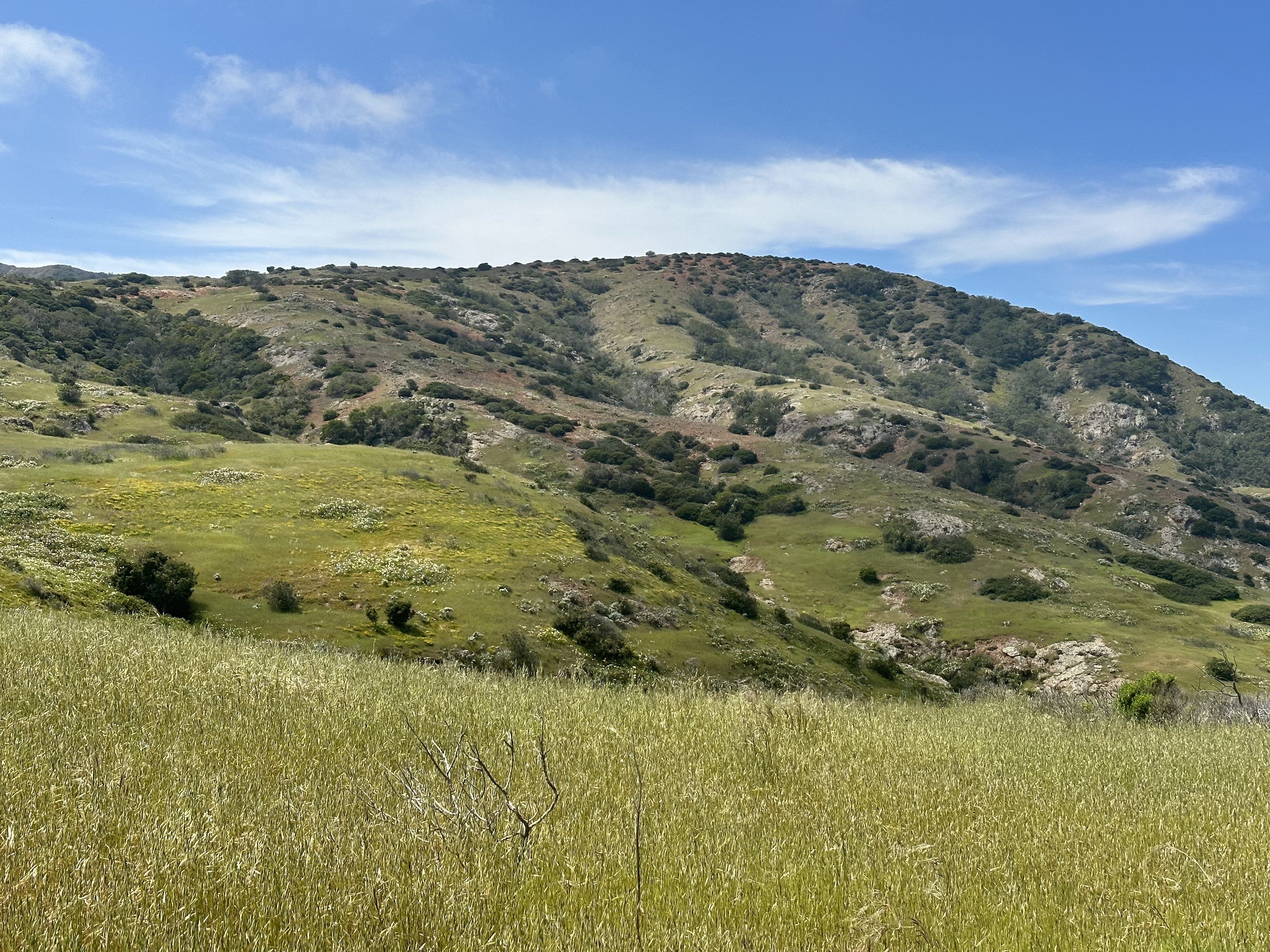 santacruz