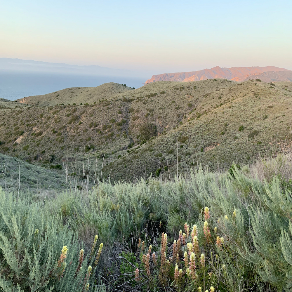 channelislands
